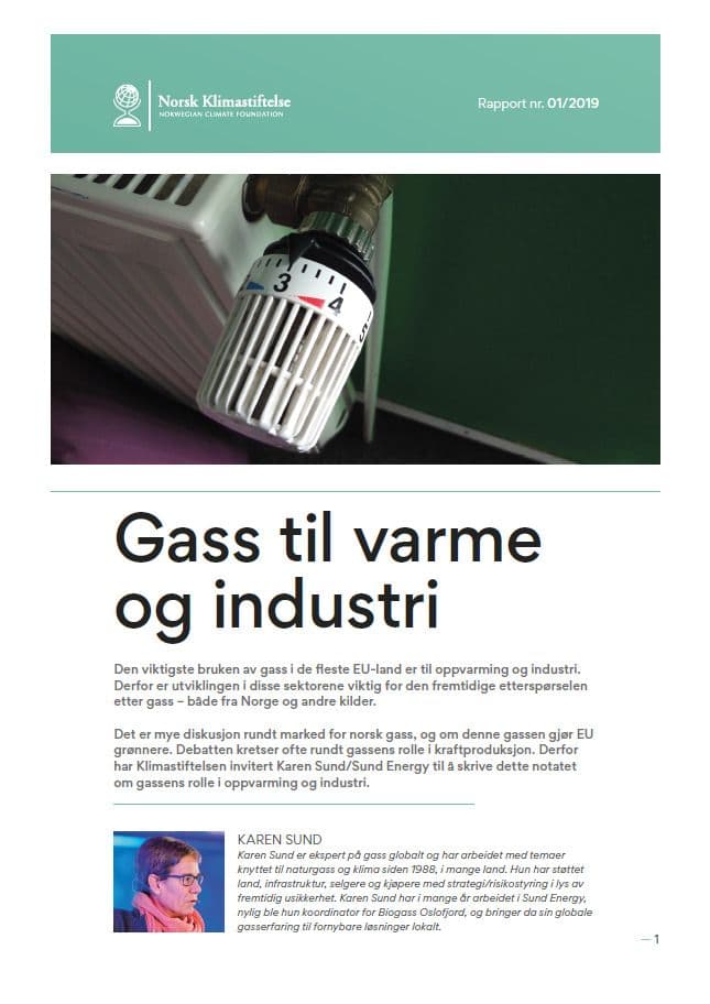 Forsiden av Gass til varme og industri