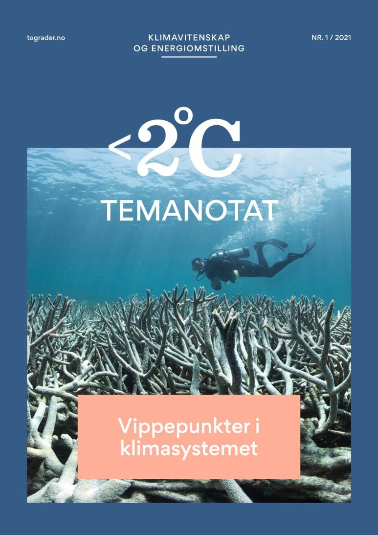Forsiden av Vippepunkter i klimasystemet